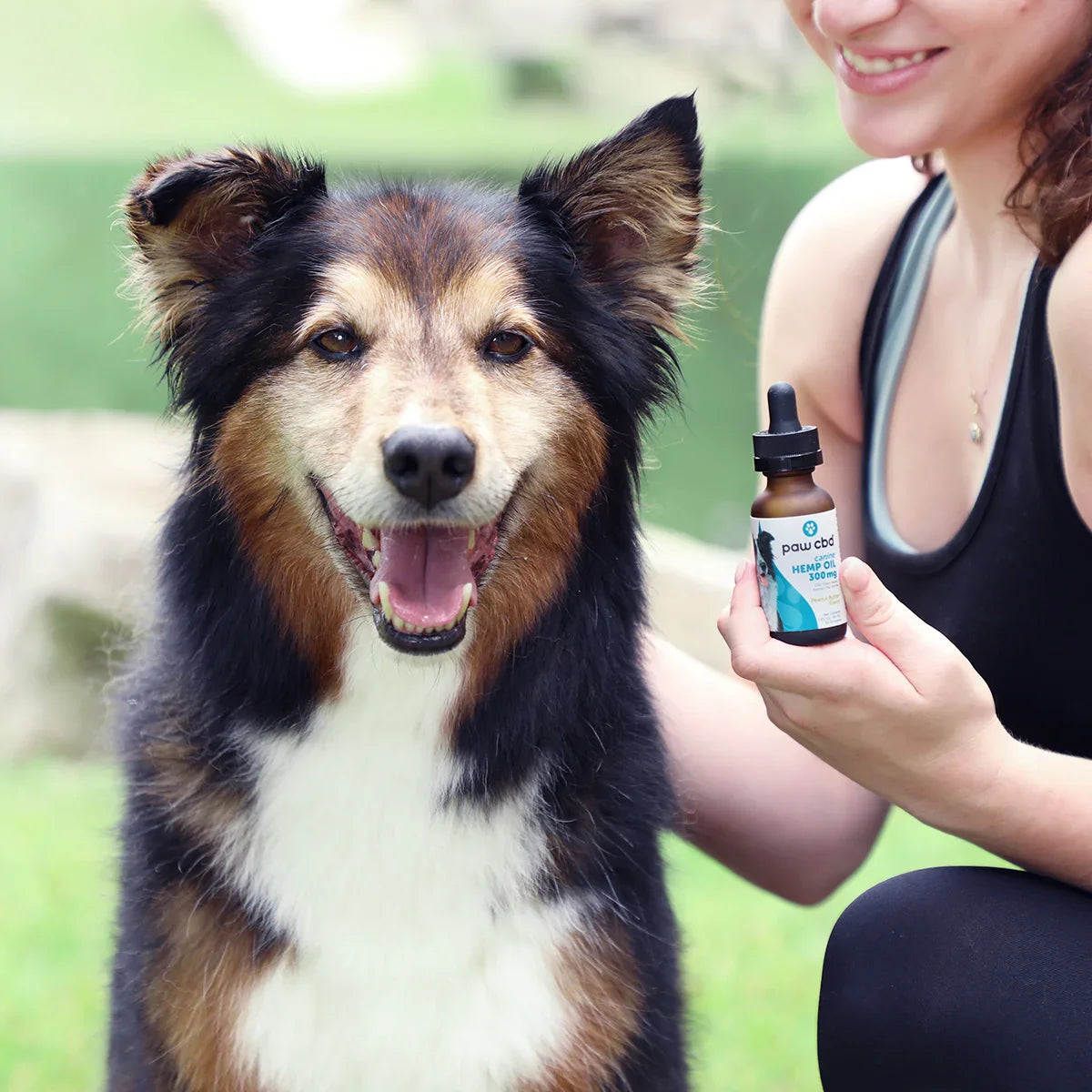 Broad Spectrum CBD Dog Oil Tincture